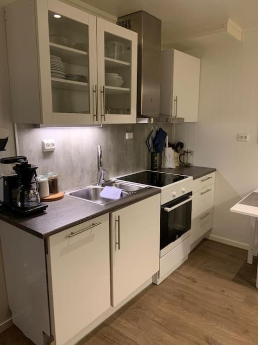 Gimle Cozy Apartment Tromsø Extérieur photo